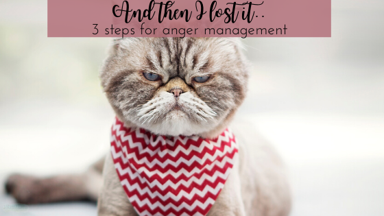 And then I lost it...| 3 steps for anger management